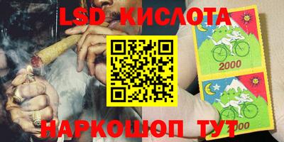 прущие грибы Лесосибирск