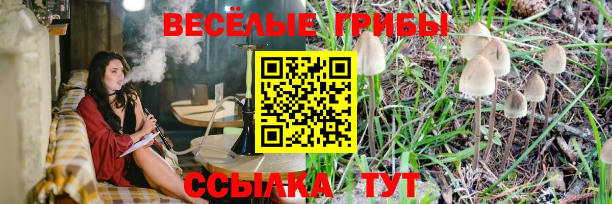 Псилоцибиновые грибы Cubensis Биробиджан
