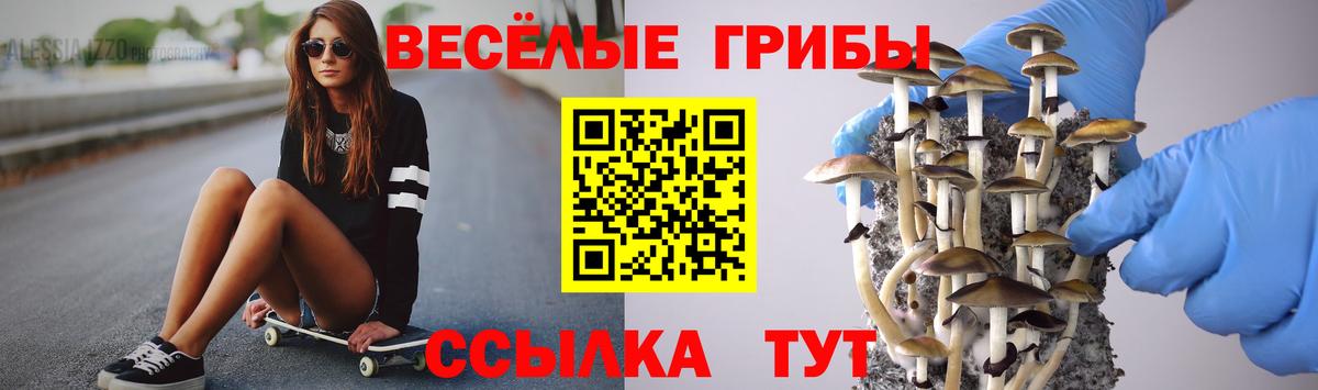 Биробиджан  Псилоцибиновые грибы Psilocybine cubensis  цены наркотик  Вход с VPN 