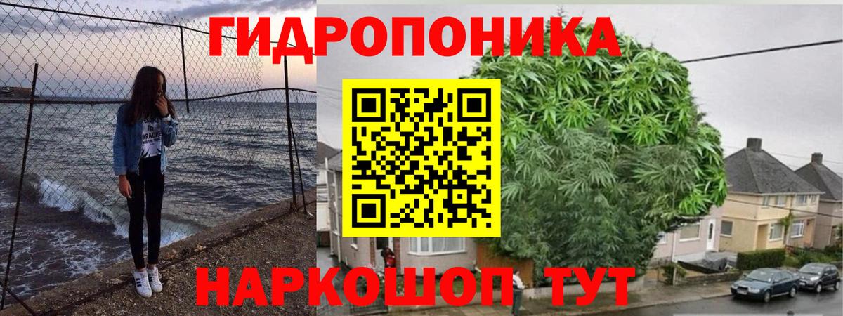 Марихуана марихуана Биробиджан